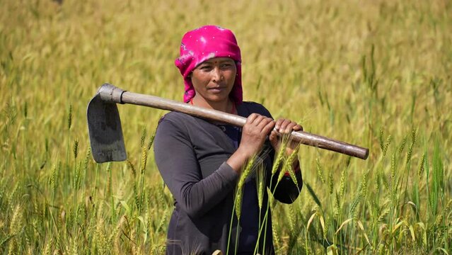 A confident woman stands tall in her wheat field, symbolizing the vital role and contributions of women in agriculture and rural development