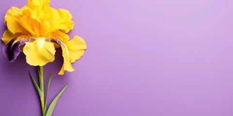 Möbelaufkleber Yellow iris flower on a purple background, space for text, top view. Generative AI © 22_monkeyzzz