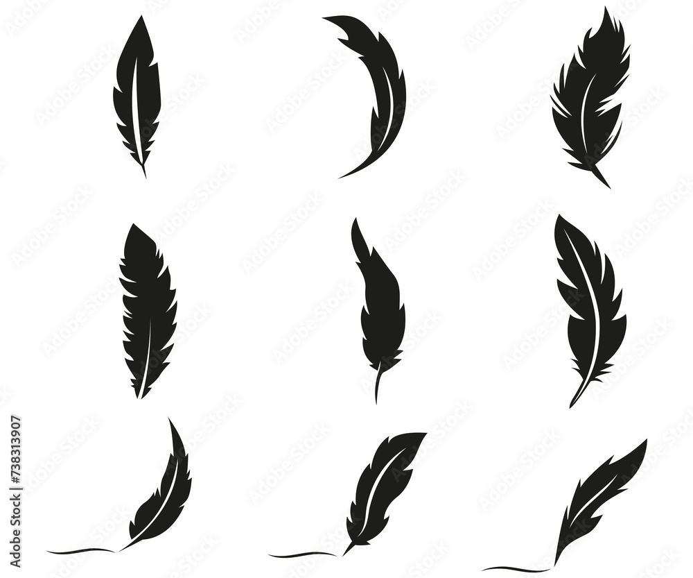 Wall mural Feather collection silhouette, black quill detailed vector illustration