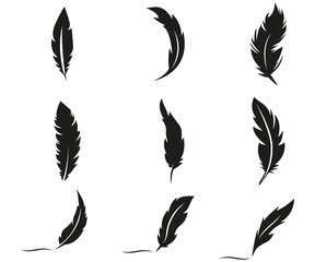 Feather collection silhouette, black quill detailed vector illustration