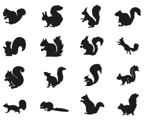 squirrel collection silhouette, mammal  wildlife animal, vector illustration - obrazy, fototapety, plakaty