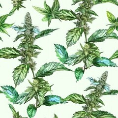 Watercolor stinging nettle flowers with leaves seamless pattern.
