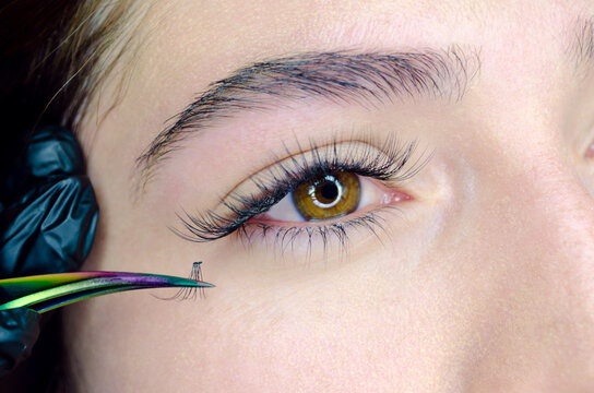 Ojo de mujer joven con extensiones de pesta&ntilde;as punto a punto, por punto. Aplicaci&oacute;n de pesta&ntilde;as postizas individuales, pelo a pelo, 1x1, con efecto r&iacute;mel, pinza curvatura c y guantes de l&aacute;tex