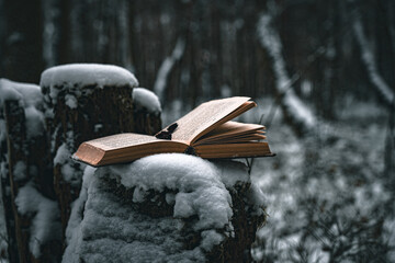 old book in the forest in winter under the snow