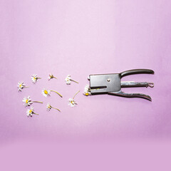 Stapler and flowers creative concept isolated photo. Studio creativity. 