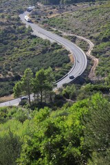 Road with cars and trees on sunny day