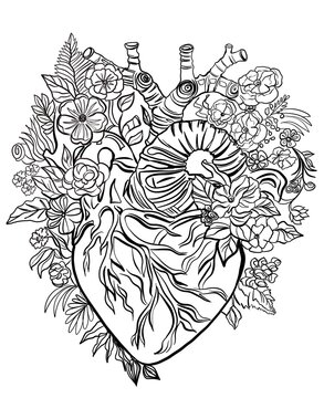 Hyperrealistic black and white coloring page  of a human heart with a floral pattern.