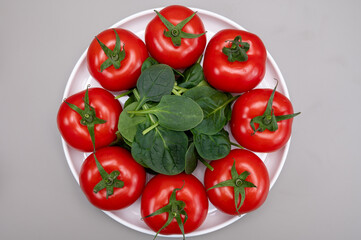Red ripe tasty Dutch tomatoes growing indoor in greenhouse all seasons, food industry in Netherlands close up