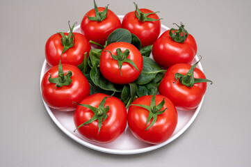 Red ripe tasty Dutch tomatoes growing indoor in greenhouse all seasons, food industry in Netherlands close up