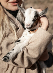 a little pretty goat in the arms of a woman, farm animal care