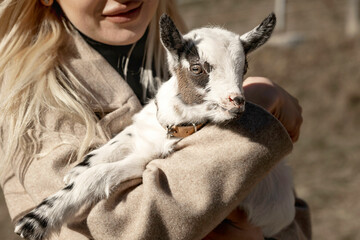 a little goat in the arms of a woman, concept of love for animals, vegan, animal care