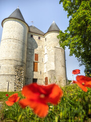 Poppy flowers beneath a castle in Vernon, Normandy