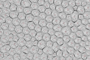 複数の細胞のイメージ-ノイズ多め