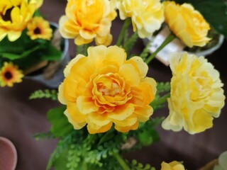 Naklejka na ściany i meble A close up of a yellow flower