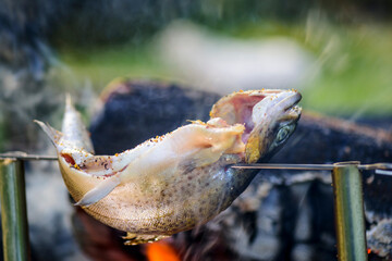 Campfire Cooking: Outdoor Culinary Delights in 4K Ultra HD