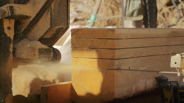 Close-up of sawmill blade cutting through stacked lumber. Woodworking and timber processing concept for industry brochure, banner.
