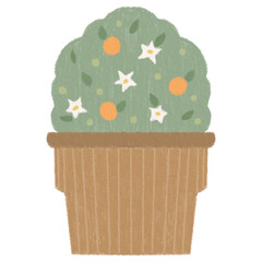 Hinamatsuri Japanese culture