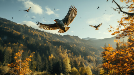 Forest birds fly between trees enjoying final days summer