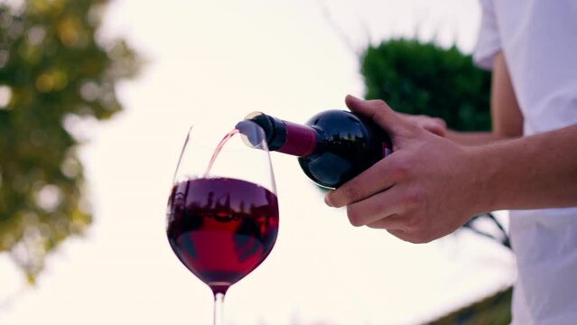 Close-up of a male sommelier's hand pouring aged wine from bottle into a glass for tasting on a vineyard