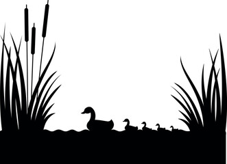 Silhouette of reeds, lake, swimming duck with ducklings. Vector illustration in flat style.