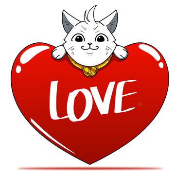 Cat and heart shaped pillow