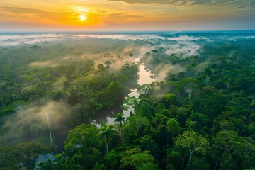 Lush amazon rainforest captured from above at dawn The essence of adventure and exploration in nature's untouched beauty.