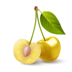 Isolated yellow cherries on one stem with green leaf. Two sweet cherry fruits on one stem, one cut in half with a pit - 738391703