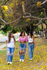 Fototapeta premium group of latin american female smiling friends chatting and walking in field full of yellow flowers during summer