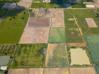 The green agricultural fields of paddy rice are taken in top view by aerial vehicle, drone, Southeast Asia.