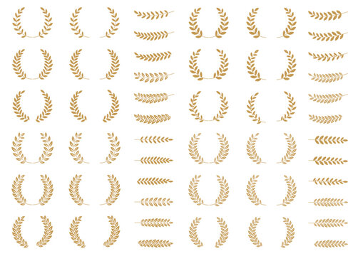 月桂樹・月桂冠のセット