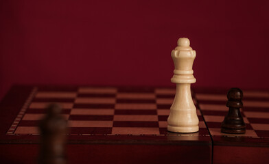 chess pieces on a wooden board family team