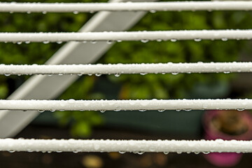 Parallel lines of a white plastic folding clothesline full of rainwater drops located on a terrace full of green plants