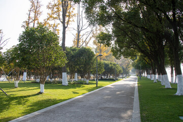 Beautiful view of Bacheng Ecological Wetland Park during autumn session