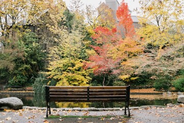 Pond, benchchair and autum leave in Ashland, Oregon, United States.