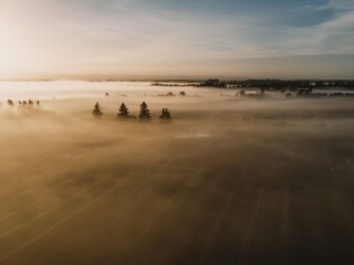 Foggy countryside at sunrise with trees poking through the fog. Aurora, Oregon, United States.