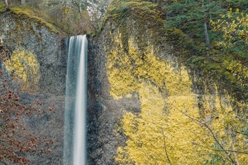 Waterfall in the Columbia River Gorge National Scenic Area , Oregon, United States.