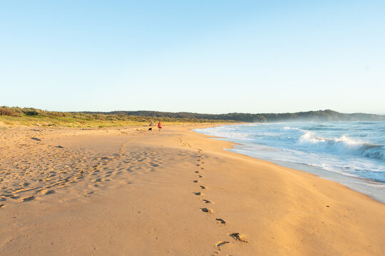 Footprints of woman and dog walking alone on golden sandy beach in early morning light blue sea and sky