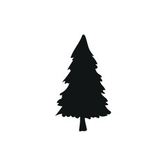 Silhouette of coniferous tree on white background