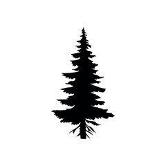 Silhouette of coniferous tree on white background