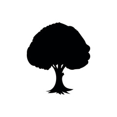 Silhouette of tree on white background