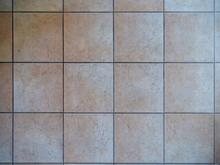 Ceramic Floor Tiles Texture