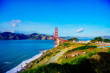 Fototapeta na wymiar The landscape of San Francisco Bay in California 
