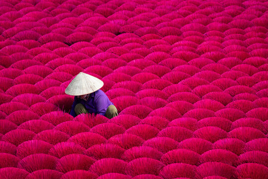 Woman surrounded by colourful bundles of incense at an incense factory in Hanoi, Vietnam