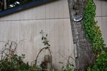 260 numbers on tree, dilapidated property.