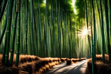 /imagine: A serene bamboo grove with sunlight filtering through the dense foliage, casting a tranquil glow