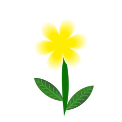 Beautiful Kathgolap Flower design 