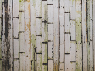 Vintage Wood Ensemble: A picturesque scene featuring an aged wooden door, wall, and fence, showcasing rustic textures and weathered charm