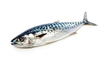 mackerel fresh fish for making seafood on white background - 738459595
