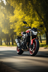 Obraz premium motorcycles on the road, motorbike on the road driving fast. having fun on the empty highway on a motorcycle journey.