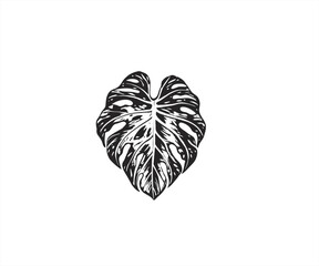 floral leaf logo design template